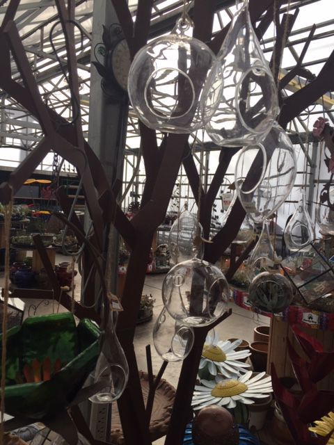 112418 hg spencers glass terrariums1.JPG